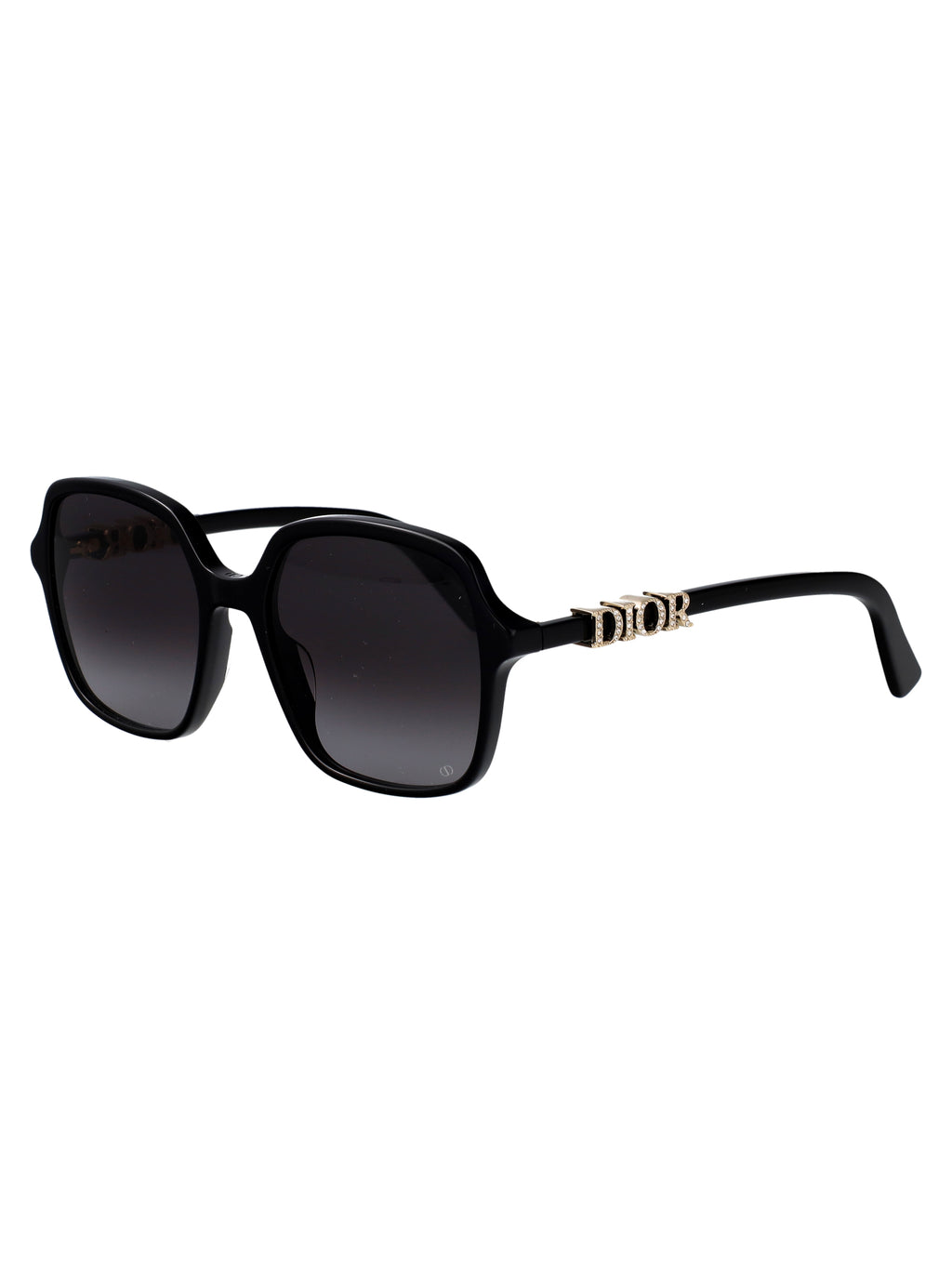DIORTREASURE S1I CD40232I
